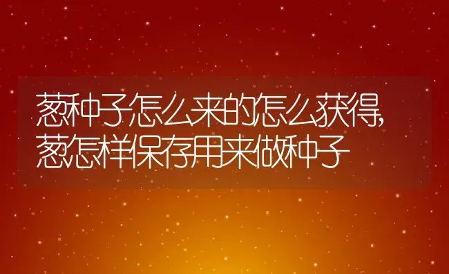 葱种子怎么来的怎么获得,葱怎样保存用来做种子 | 养殖常见问题