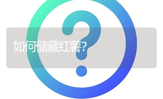 如何储藏红薯? | 养殖问题解答