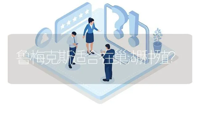 鲁梅克斯适合在巢湖种殖? | 养殖问题解答