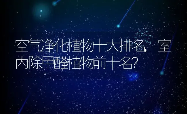 空气净化植物十大排名,室内除甲醛植物前十名？ | 养殖常见问题