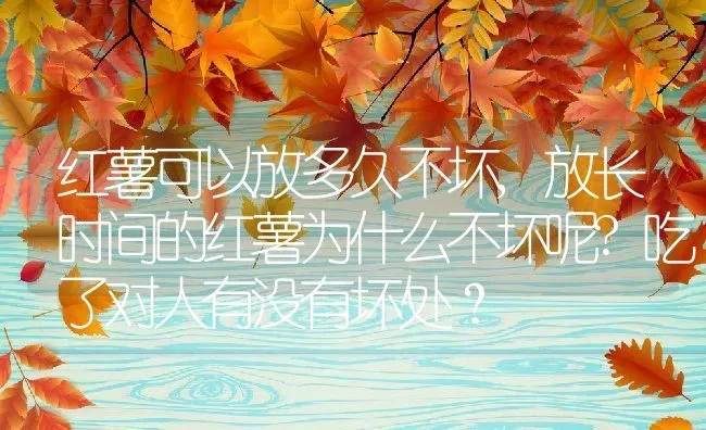 红薯可以放多久不坏,放长时间的红薯为什么不坏呢?吃了对人有没有坏处？ | 养殖常见问题