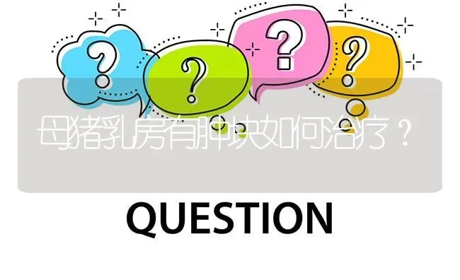 母猪乳房有肿块如何治疗? | 养殖问题解答