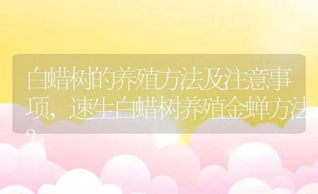 白蜡树的养殖方法及注意事项,速生白蜡树养殖金蝉方法？ | 养殖常见问题