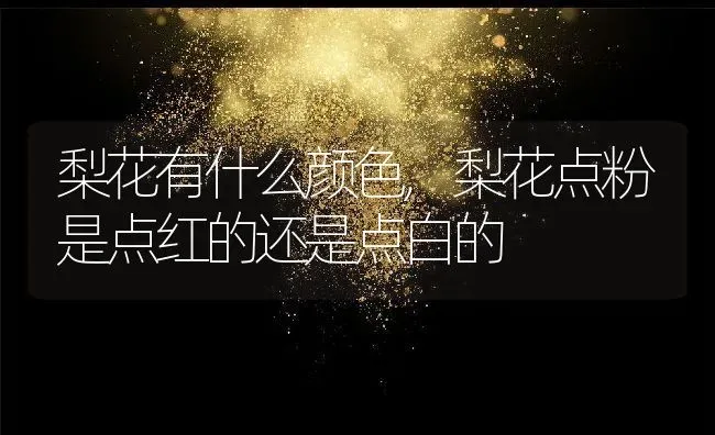 梨花有什么颜色,梨花点粉是点红的还是点白的 | 养殖常见问题