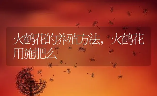 火鹤花的养殖方法,火鹤花用施肥么 | 养殖常见问题