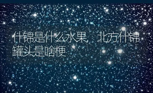 牛奶枣是什么季节的水果,牛奶大青枣北方长吗？ | 养殖常见问题