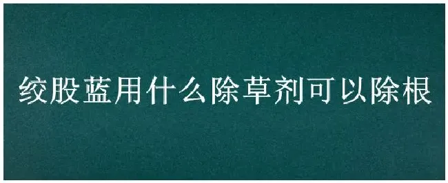 绞股蓝用什么除草剂可以除根 | 三农答疑