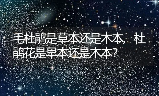毛杜鹃是草本还是木本,杜鹃花是早本还是木本？ | 养殖常见问题