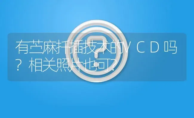 有苎麻扦插技术的VCD吗?相关照片也可? | 养殖问题解答