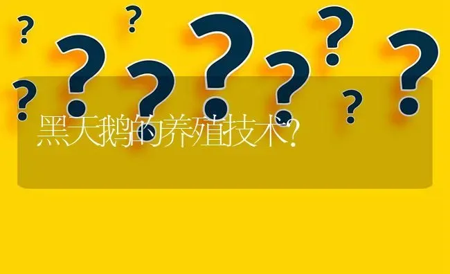 黑天鹅的养殖技术? | 养殖问题解答