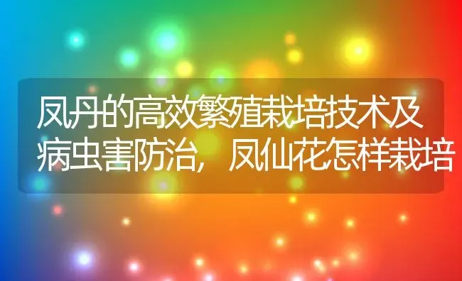 凤丹的高效繁殖栽培技术及病虫害防治,凤仙花怎样栽培 | 养殖常见问题