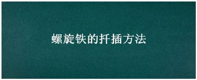 螺旋铁的扦插方法 | 农业答疑