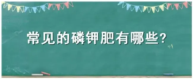 常见的磷钾肥有哪些 | 三农答疑