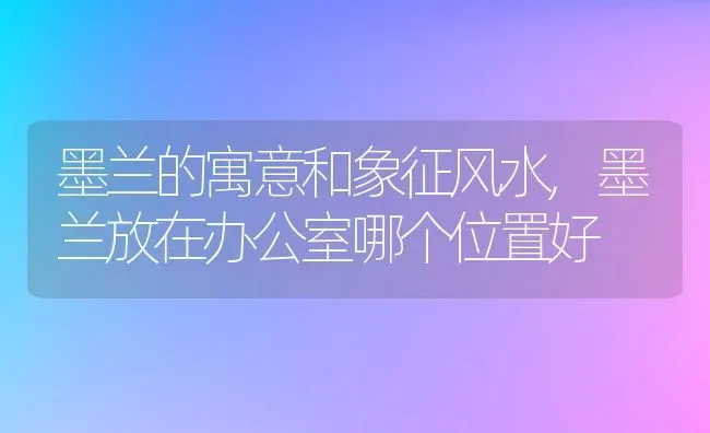 墨兰的寓意和象征风水,墨兰放在办公室哪个位置好 | 养殖常见问题