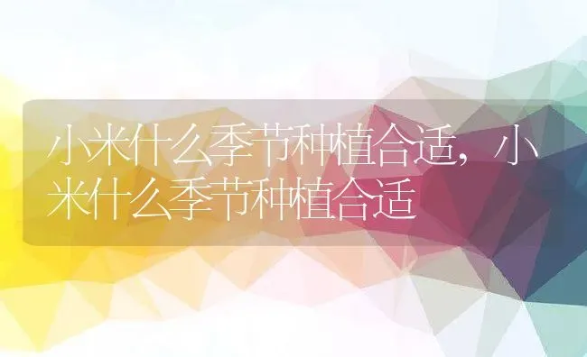 小米什么季节种植合适,小米什么季节种植合适 | 养殖常见问题