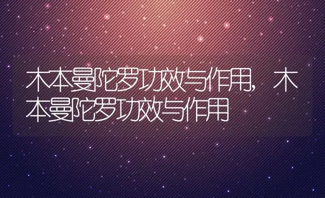 木本曼陀罗功效与作用,木本曼陀罗功效与作用 | 养殖常见问题