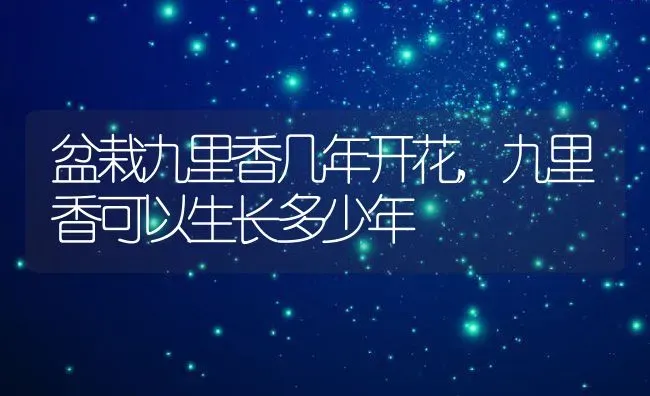 盆栽九里香几年开花,九里香可以生长多少年 | 养殖常见问题