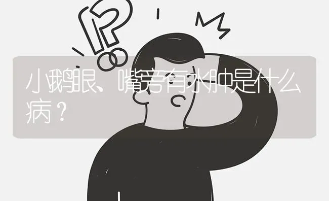 小鹅眼、嘴旁有水肿是什么病? | 养殖问题解答