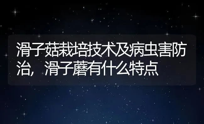 滑子菇栽培技术及病虫害防治,滑子蘑有什么特点 | 养殖常见问题