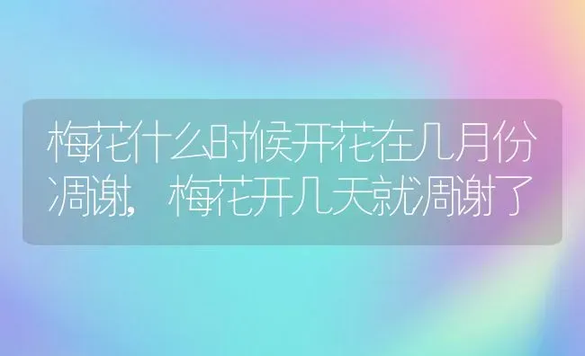 元世祖忽必烈是成吉思汗的什么人,成吉思汗和努尔哈赤关系？ | 养殖常见问题