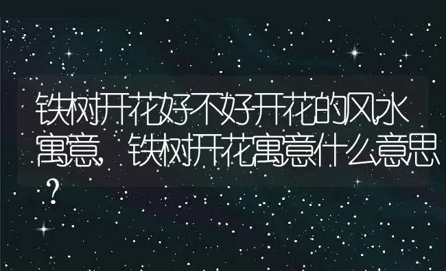 铁树开花好不好开花的风水寓意,铁树开花寓意什么意思？ | 养殖常见问题