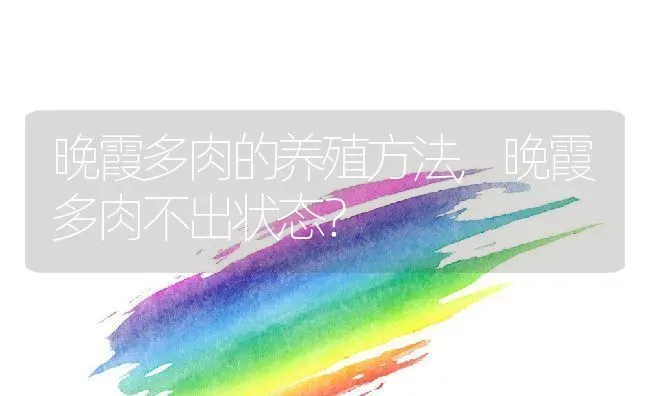 晚霞多肉的养殖方法,晚霞多肉不出状态？ | 养殖常见问题