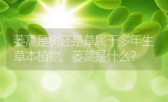 蒌蒿是树还是草属于多年生草本植物,蒌蒿是什么？ | 养殖常见问题