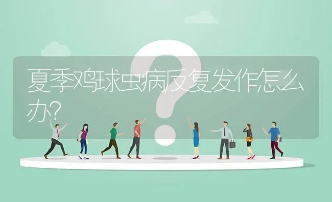 夏季鸡球虫病反复发作怎么办? | 养殖问题解答