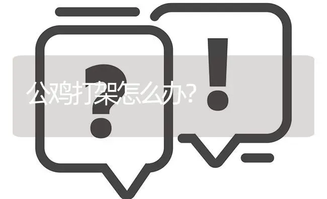 公鸡打架怎么办? | 养殖问题解答