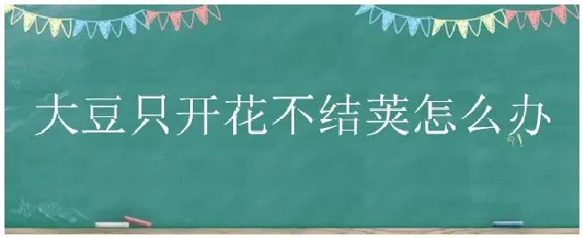 大豆只开花不结荚怎么办 | 农业问题
