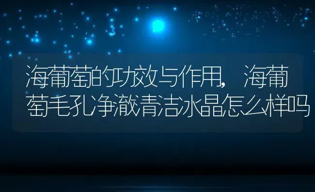 海葡萄的功效与作用,海葡萄毛孔净澈清洁冰晶怎么样吗 | 养殖常见问题