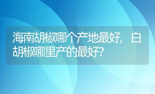 海南胡椒哪个产地最好,白胡椒哪里产的最好？ | 养殖常见问题