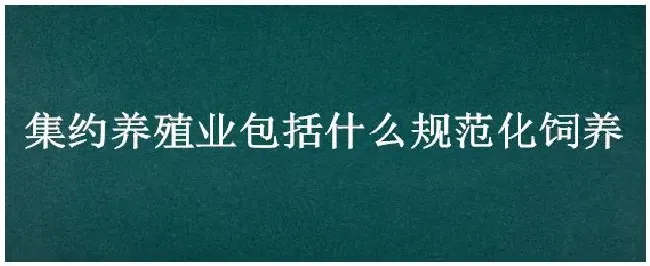 集约养殖业包括什么规范化饲养 | 农业答疑