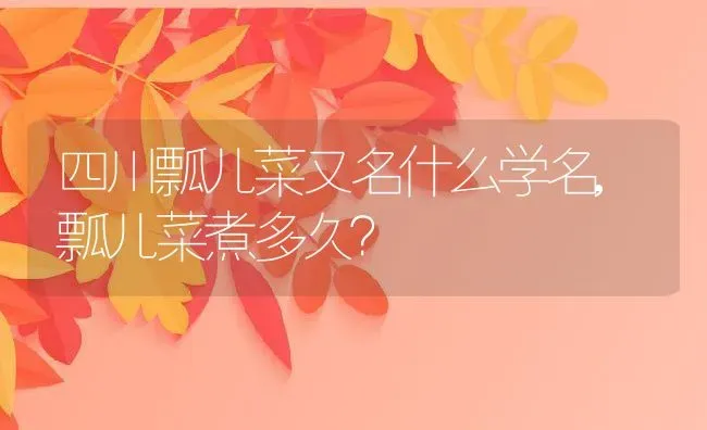 四川瓢儿菜又名什么学名,瓢儿菜煮多久？ | 养殖常见问题