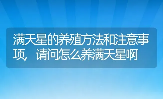 满天星的养殖方法和注意事项,请问怎么养满天星啊 | 养殖常见问题