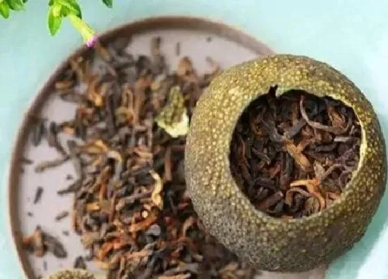 植物常识问题|小青柑属于什么茶类 新会小青柑怎么冲泡功效作用好