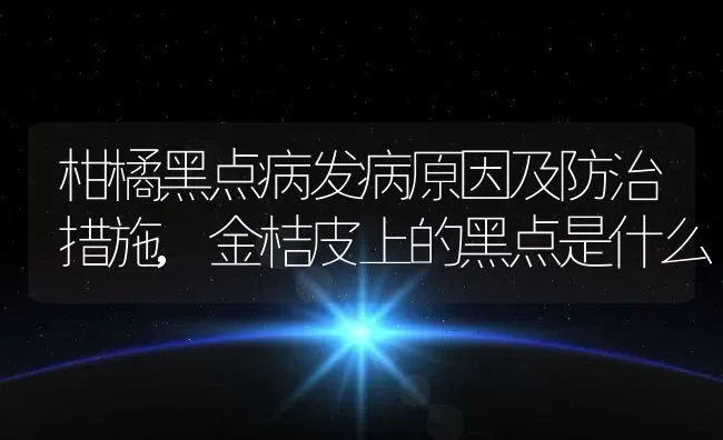 柑橘黑点病发病原因及防治措施,金桔皮上的黑点是什么 | 养殖常见问题