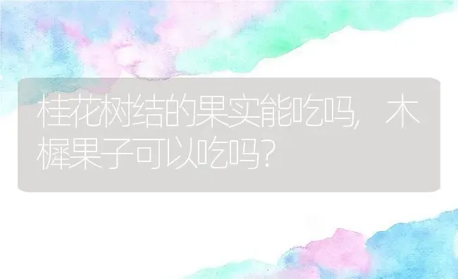 桂花树结的果实能吃吗,木樨果子可以吃吗？ | 养殖常见问题