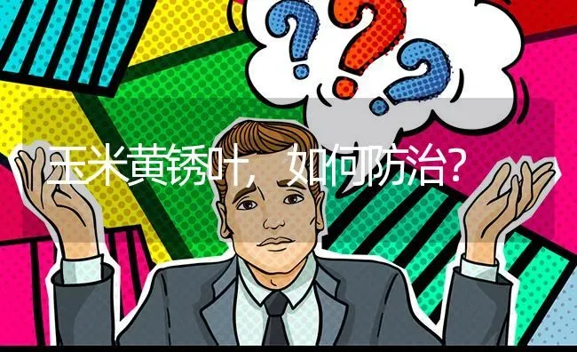 玉米黄锈叶,如何防治? | 养殖问题解答