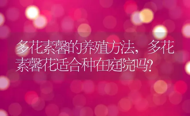 多花素馨的养殖方法,多花素馨花适合种在庭院吗？ | 养殖常见问题