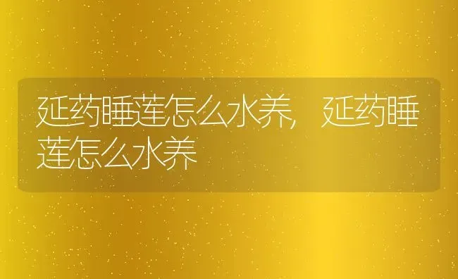 延药睡莲怎么水养,延药睡莲怎么水养 | 养殖常见问题