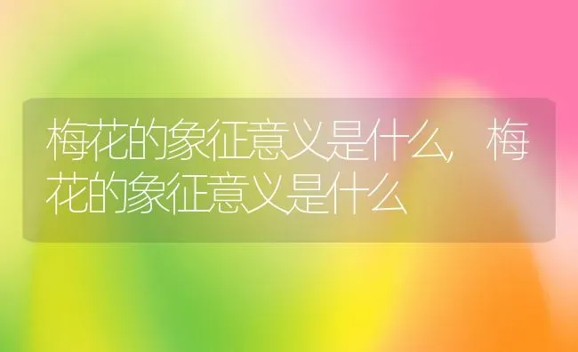 梅花的象征意义是什么,梅花的象征意义是什么 | 养殖常见问题