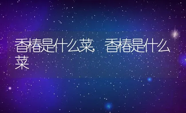 香椿是什么菜,香椿是什么菜 | 养殖常见问题