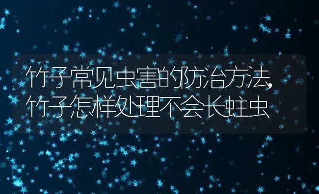 竹子常见虫害的防治方法,竹子怎样处理不会长蛀虫 | 养殖常见问题