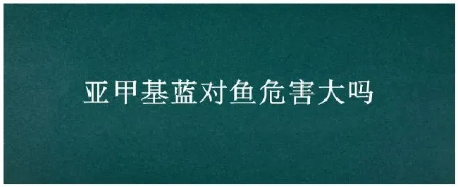 亚甲基蓝对鱼危害大吗 | 农业答疑