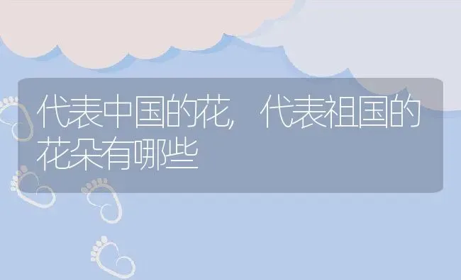 代表中国的花,代表祖国的花朵有哪些 | 养殖常见问题