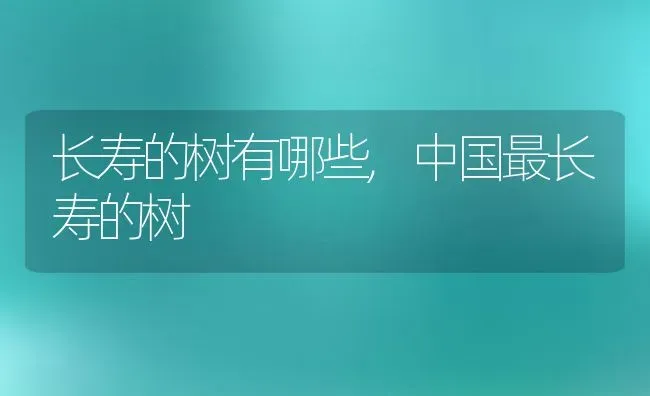 长寿的树有哪些,中国最长寿的树 | 养殖常见问题