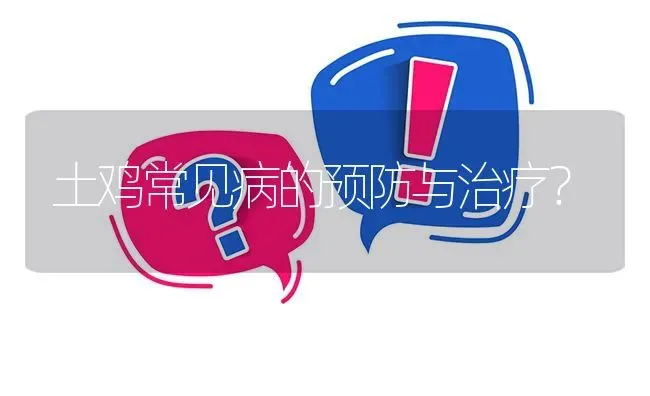 土鸡常见病的预防与治疗? | 养殖问题解答