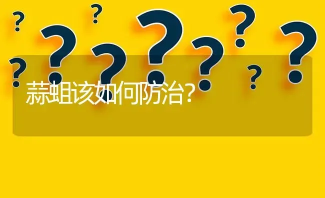 蒜蛆该如何防治? | 养殖问题解答