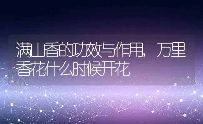 满山香的功效与作用,万里香花什么时候开花 | 养殖常见问题